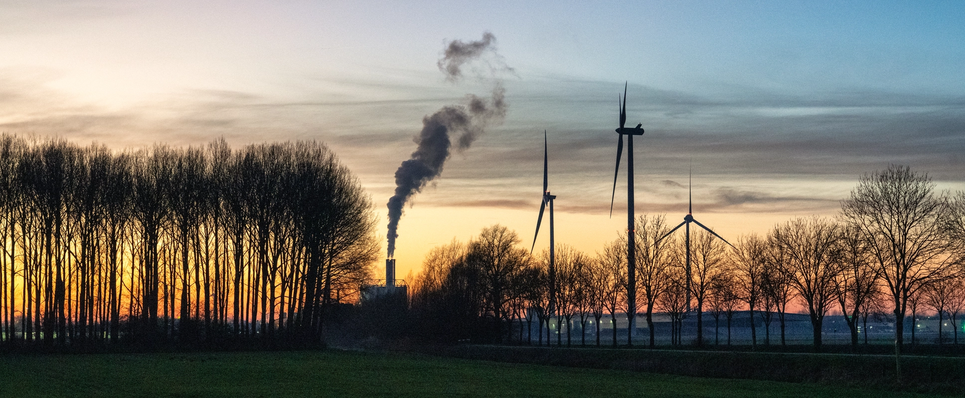 Wisselfoto foto_1763453942.webp