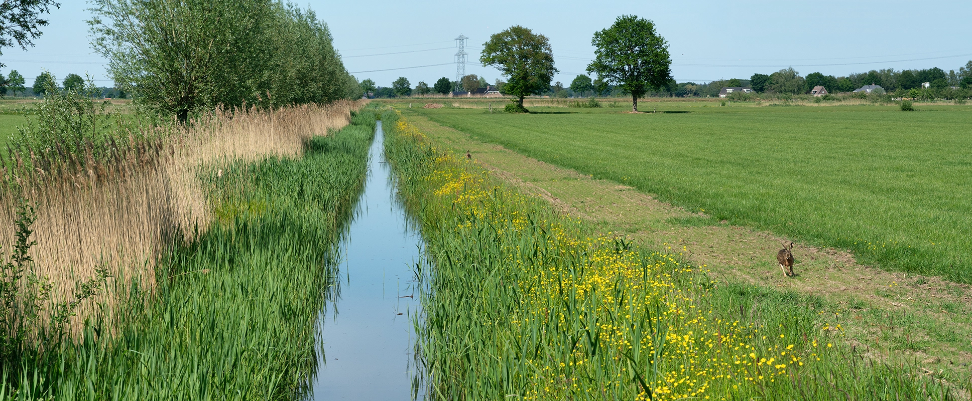 Wisselfoto foto_1765286179.webp