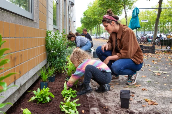 Rotterdammers vergroenen XL
