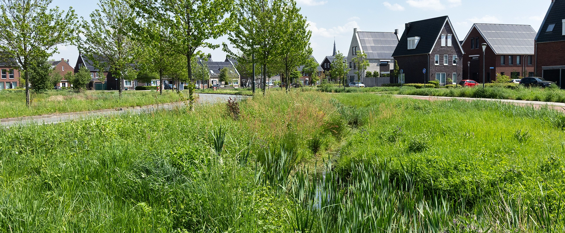 Wisselfoto foto_1771419723.webp