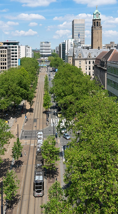 Wisselfoto foto_1771329958.webp