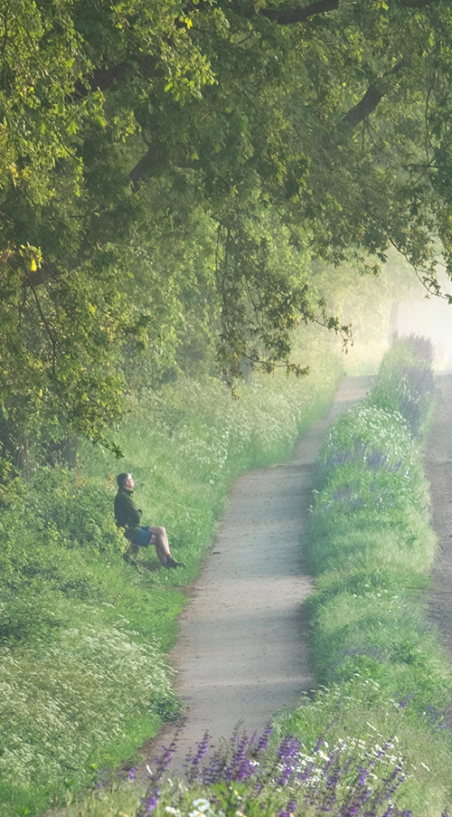 Wisselfoto foto_1771401327.webp