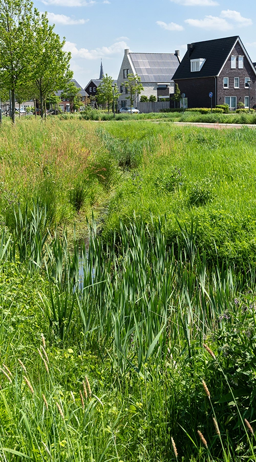 Wisselfoto foto_1771402053.webp