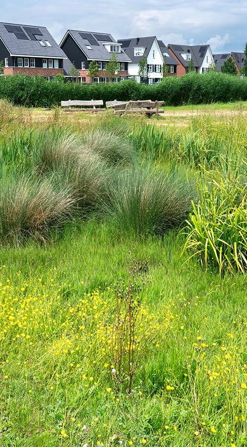Terugblik op 2025 -de Groene Helden-
